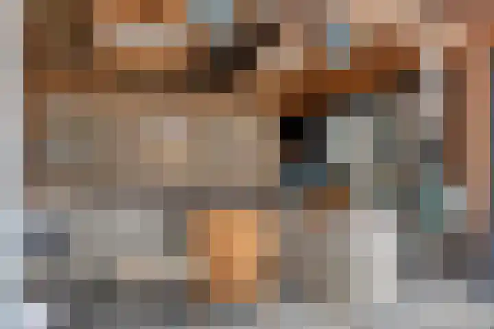 Christinastraat 8 Heesch thumbnail 32