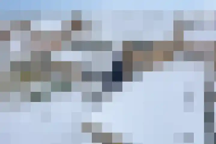 Christinastraat 8 Heesch thumbnail 41