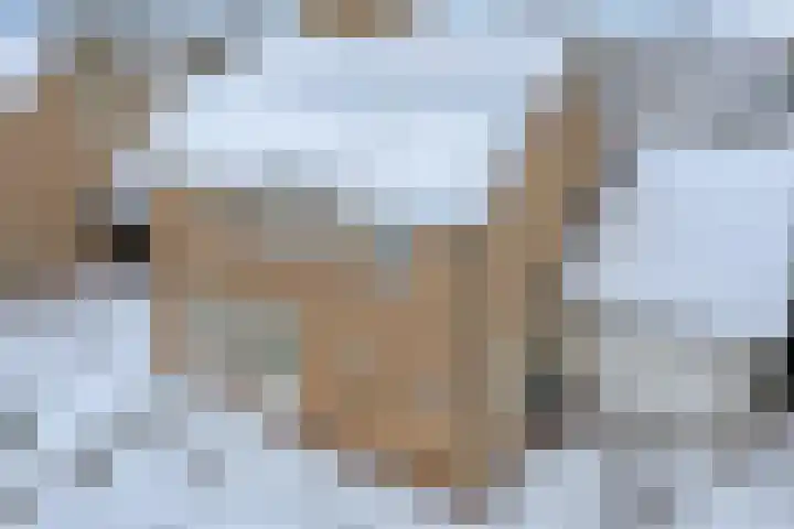Christinastraat 8 Heesch thumbnail 43