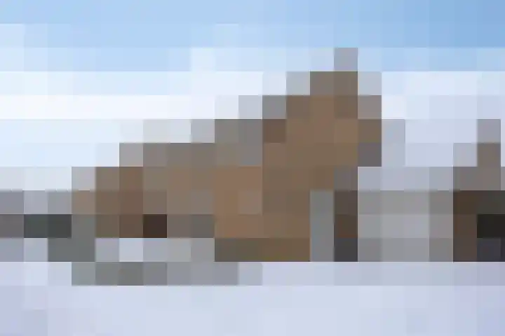 Christinastraat 8 Heesch thumbnail 44