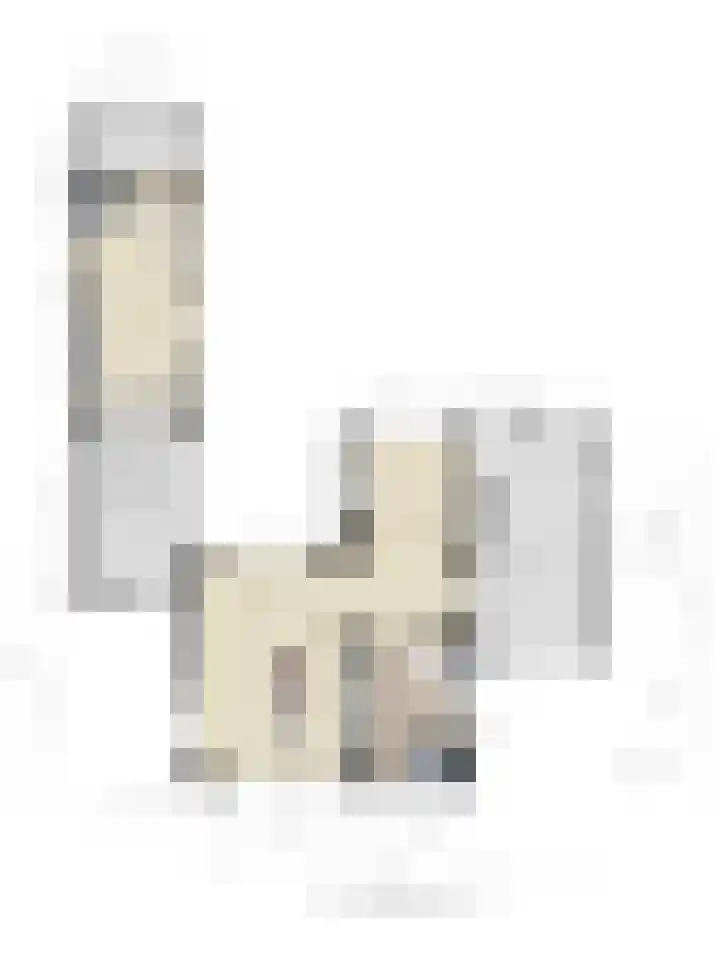 Christinastraat 8 Heesch thumbnail 49