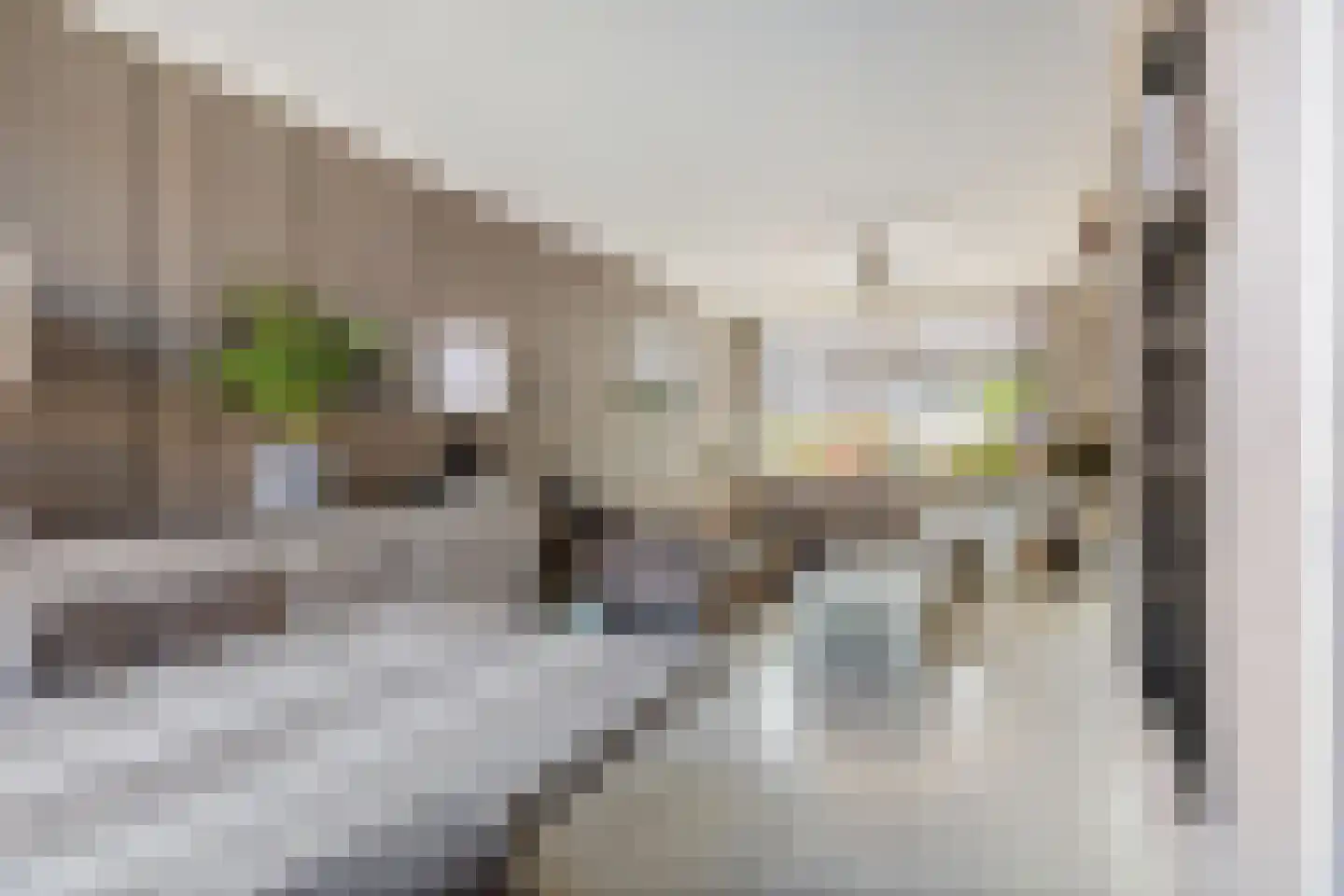 Christinastraat 8 Nieuw-Beijerland thumbnail 4