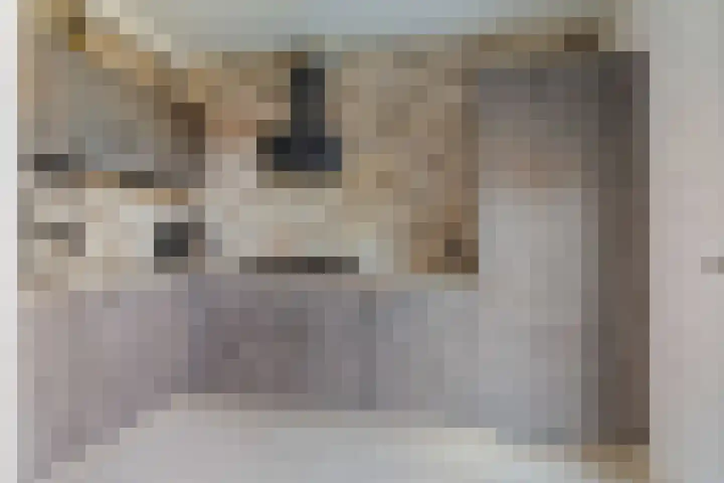 Christinastraat 8 Nieuw-Beijerland thumbnail 8