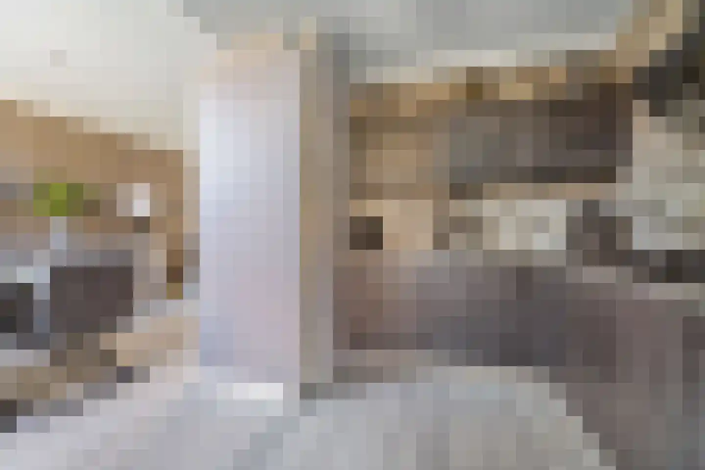 Christinastraat 8 Nieuw-Beijerland thumbnail 9