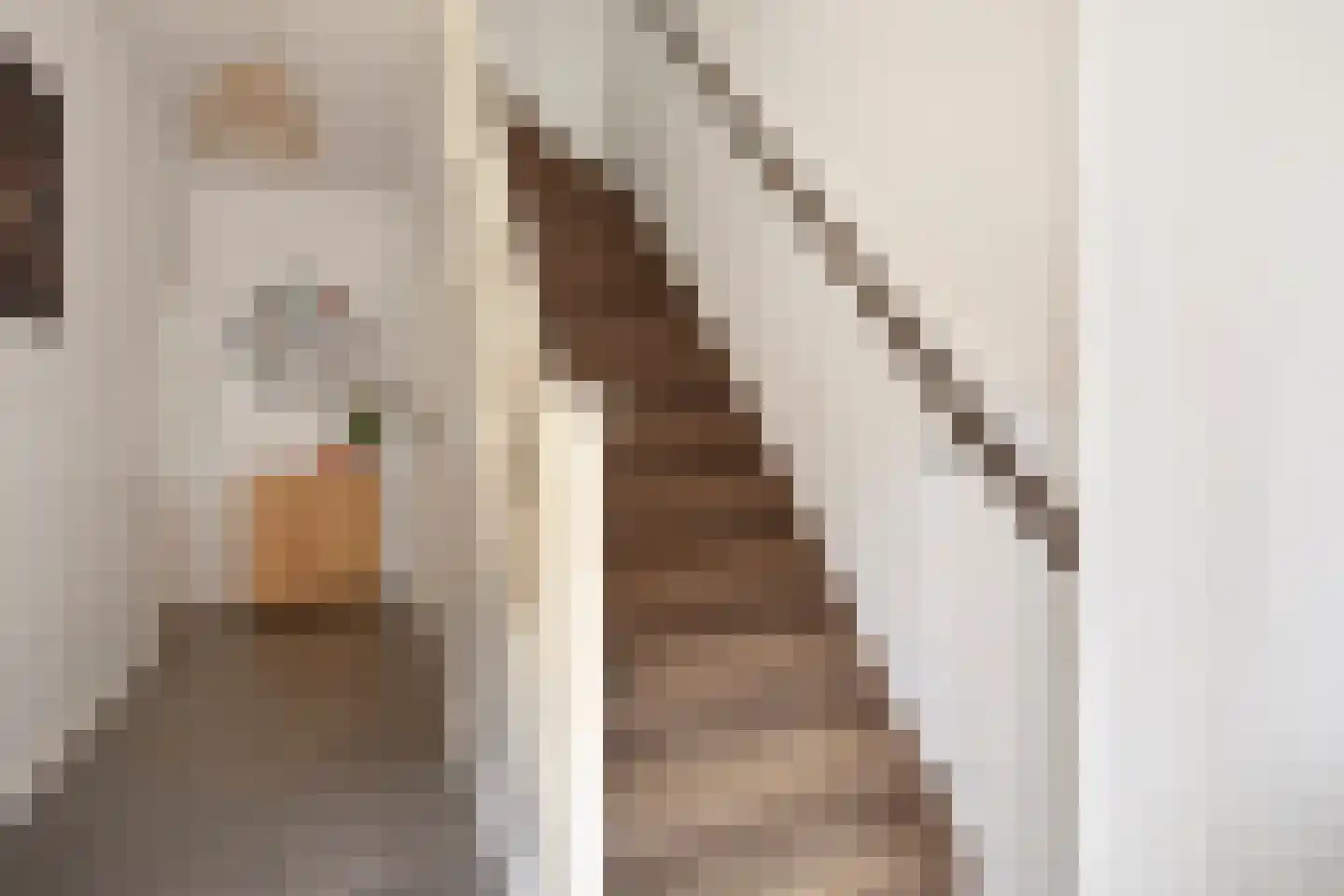 Christinaweg 3 Sint-Oedenrode thumbnail 6