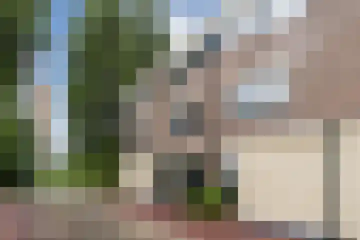 Christine Koetsstraat 3 Haarlem thumbnail 33