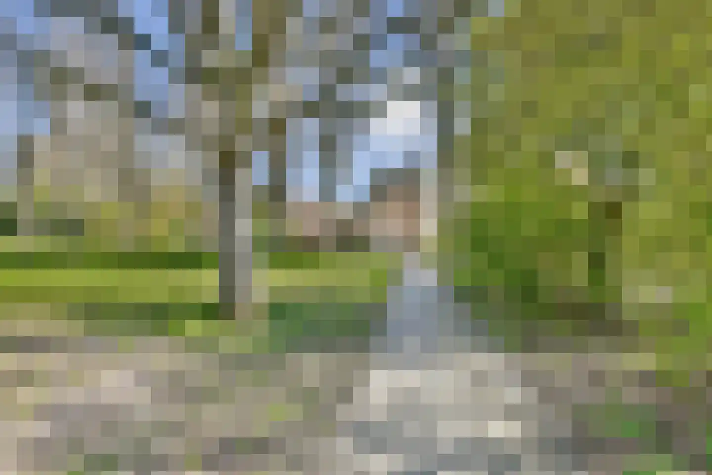 Christine Koetsstraat 6 Haarlem thumbnail 20