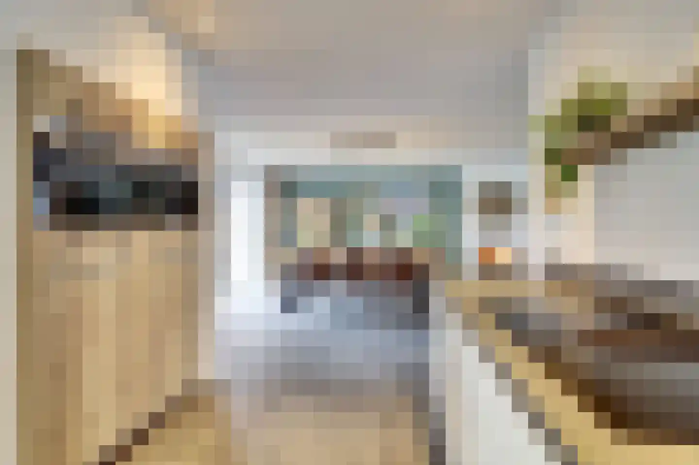 Christinelaan 10 Bladel thumbnail 20
