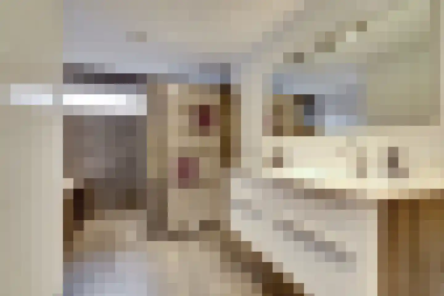 Christinelaan 10 Bladel thumbnail 35