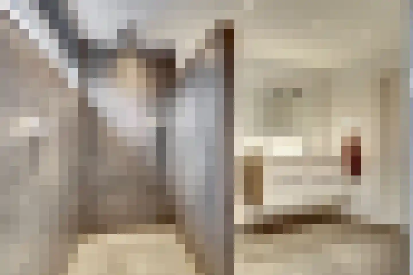 Christinelaan 10 Bladel thumbnail 37
