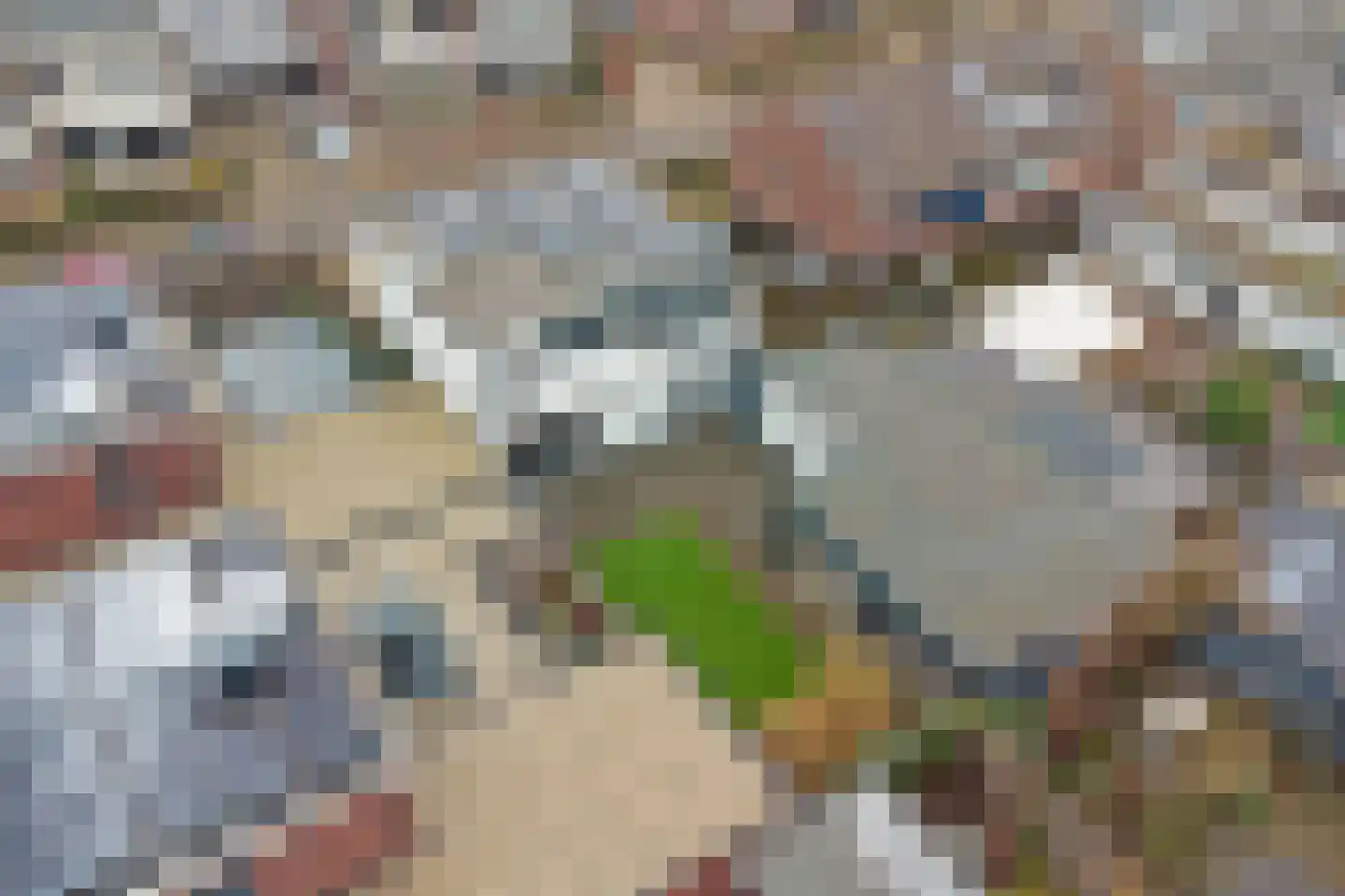 Christinelaan 10 Bladel thumbnail 4
