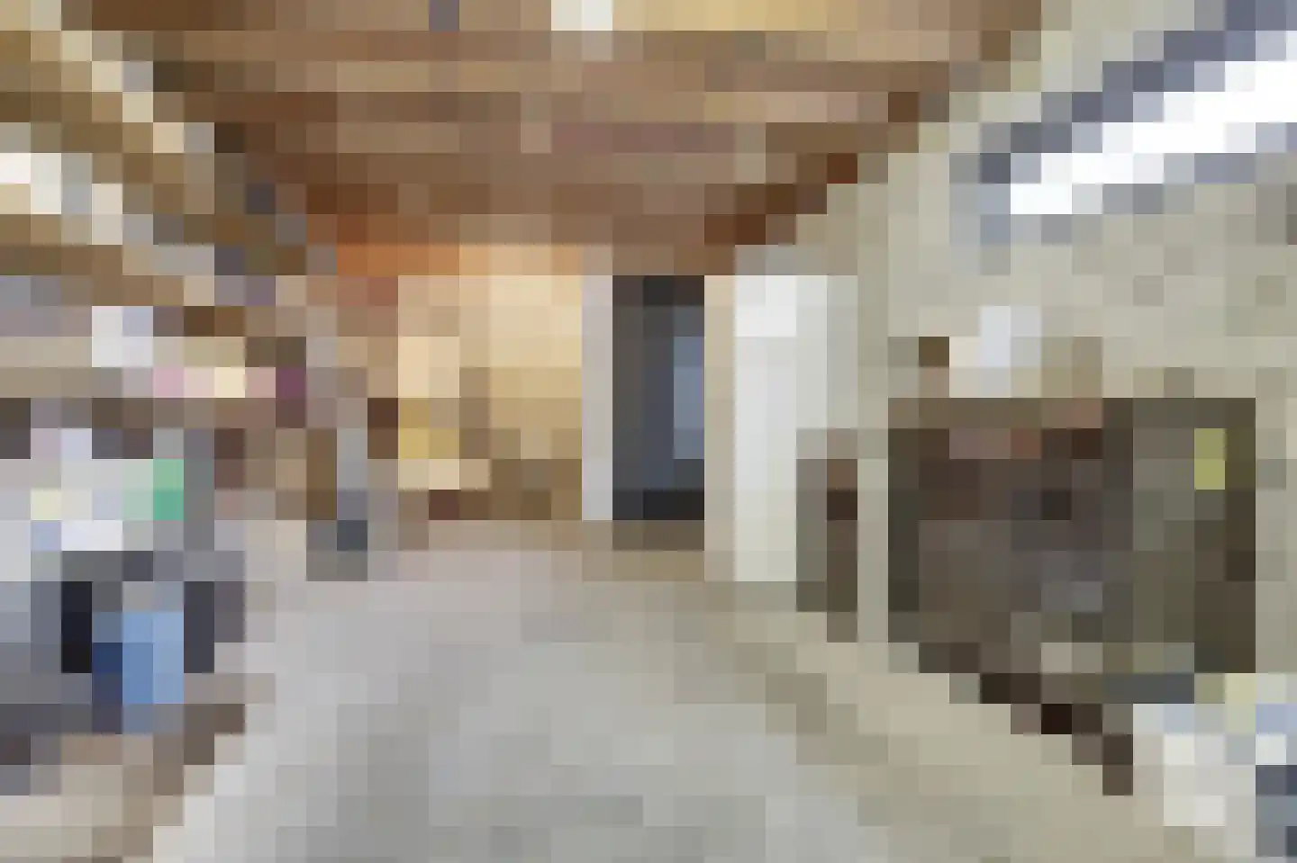 Christinelaan 10 Bladel thumbnail 47