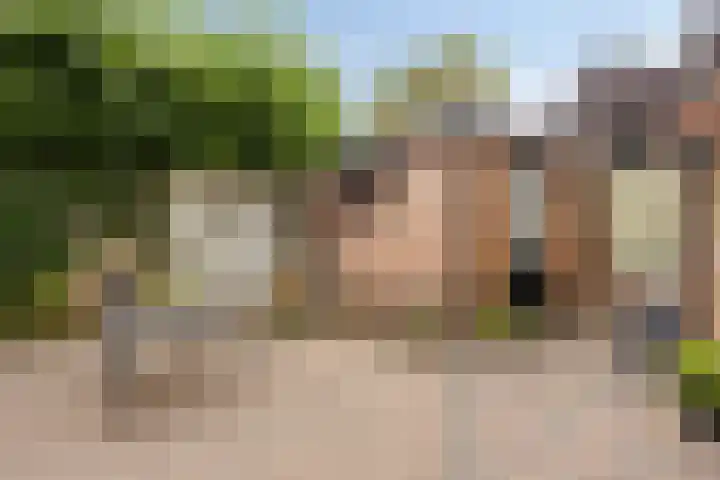 Christinestraat 12 Duiven thumbnail 28