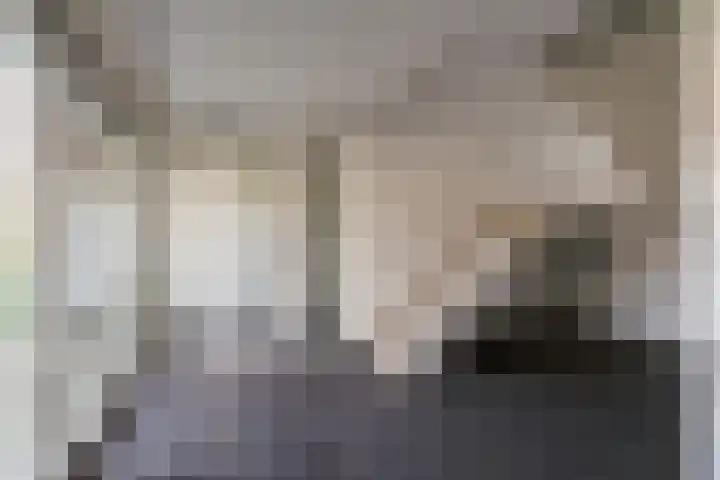 Christinestraat 31 Sprang-Capelle thumbnail 11