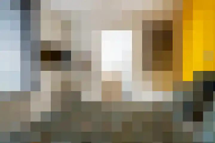 Christinestraat 31 Sprang-Capelle thumbnail 26