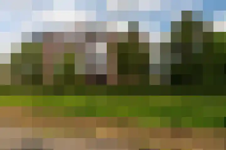 Christinestraat 31 Sprang-Capelle thumbnail 4