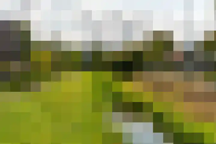 Christinestraat 31 Sprang-Capelle thumbnail 6