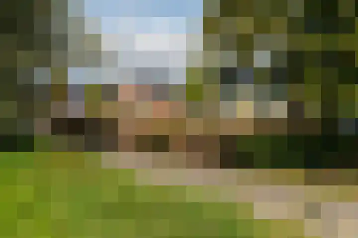 Christinestraat 31 Sprang-Capelle thumbnail 7