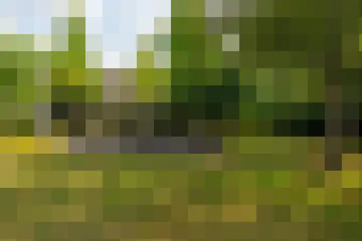 Christinestraat 31 Sprang-Capelle thumbnail 9