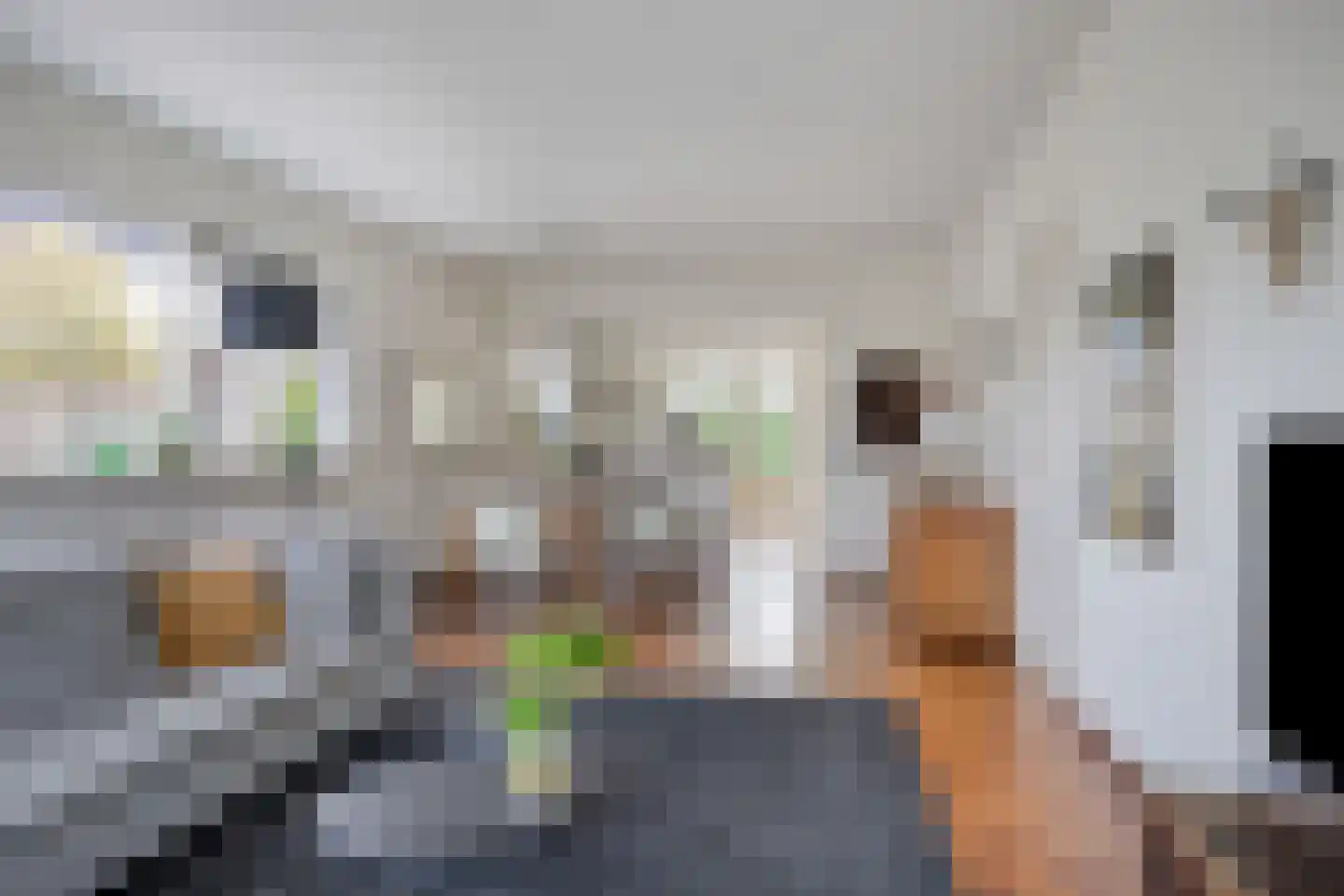 Christinestraat 7 Beneden-Leeuwen thumbnail 11