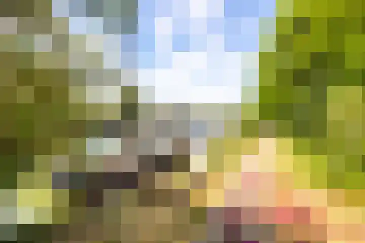 Christineweg 6 Nieuwegein thumbnail 42