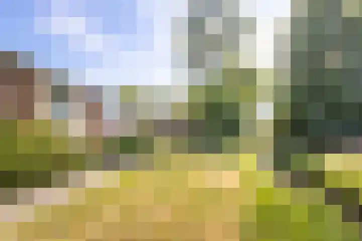 Christineweg 6 Nieuwegein thumbnail 6