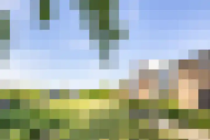 Christineweg 6 Nieuwegein thumbnail 8
