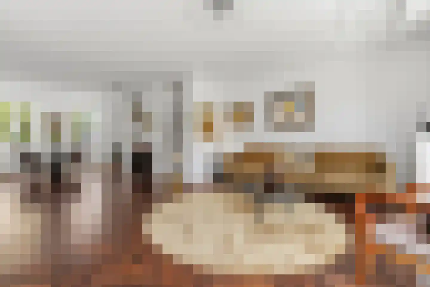 Christoffel Plantijnstraat 10 Den Haag thumbnail 14