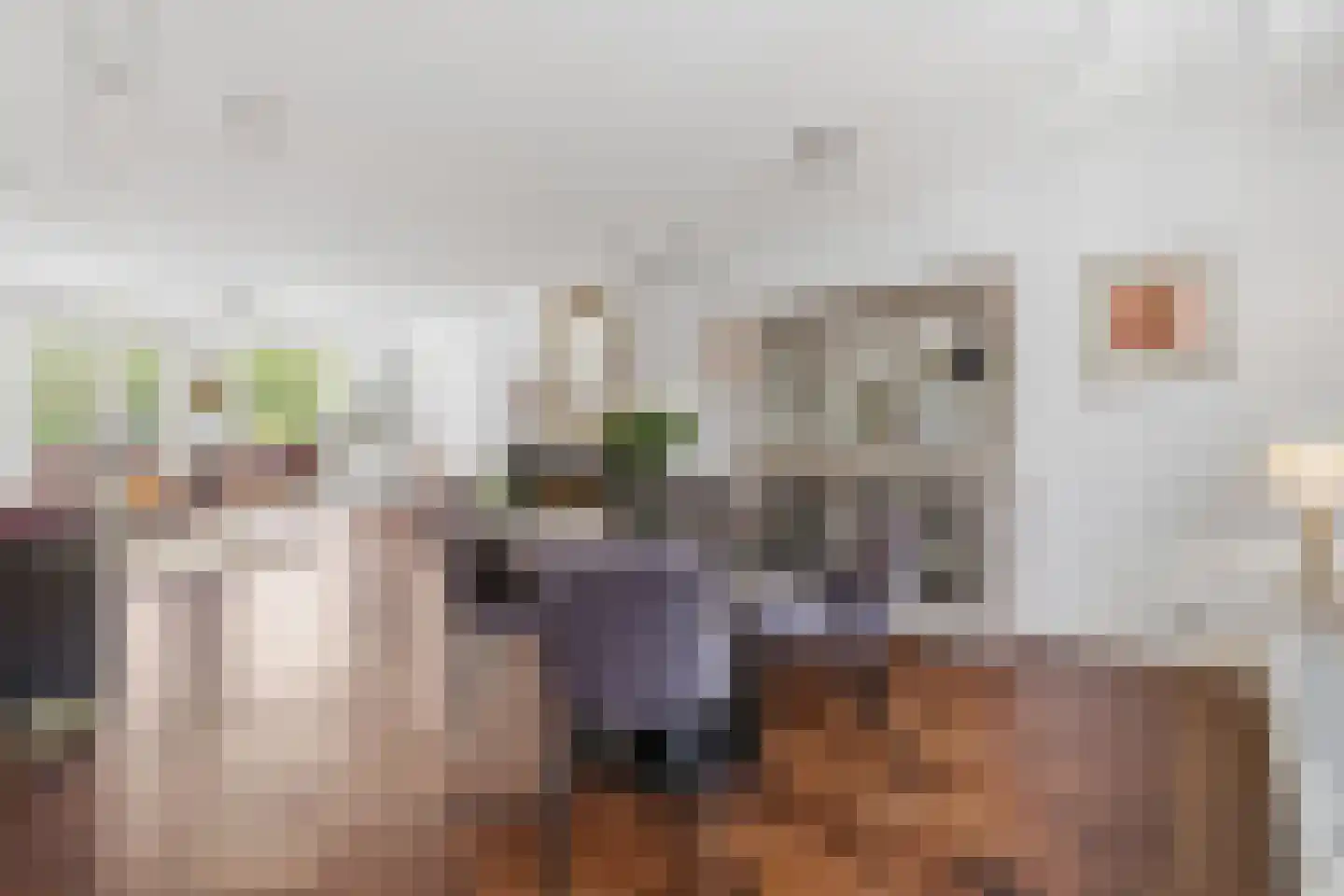 Christoffel Plantijnstraat 10 Den Haag thumbnail 18