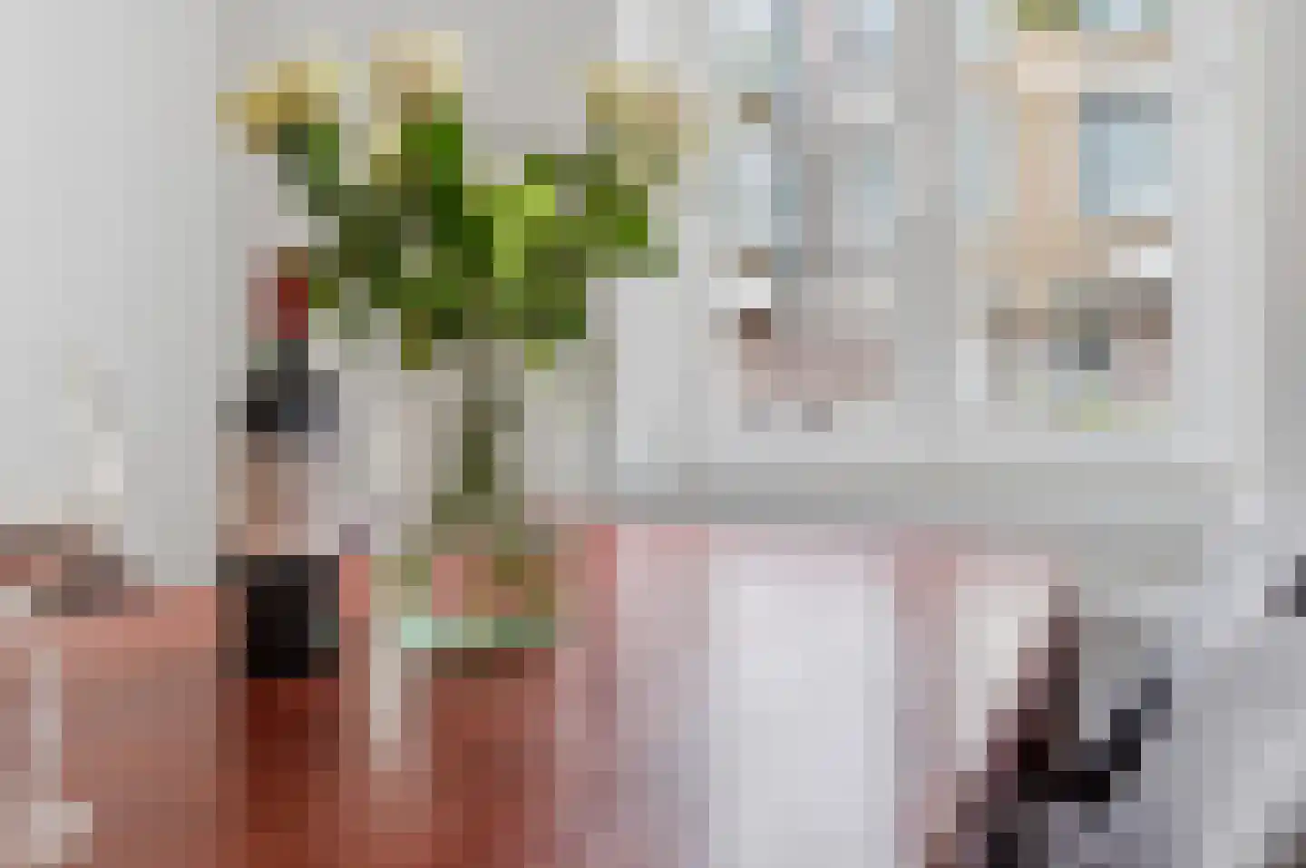Christoffel Plantijnstraat 10 Den Haag thumbnail 8