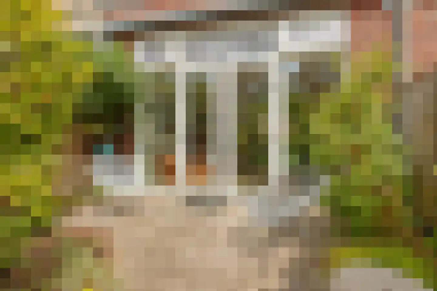 Christoffel Plantijnstraat 255 Den Haag thumbnail 10