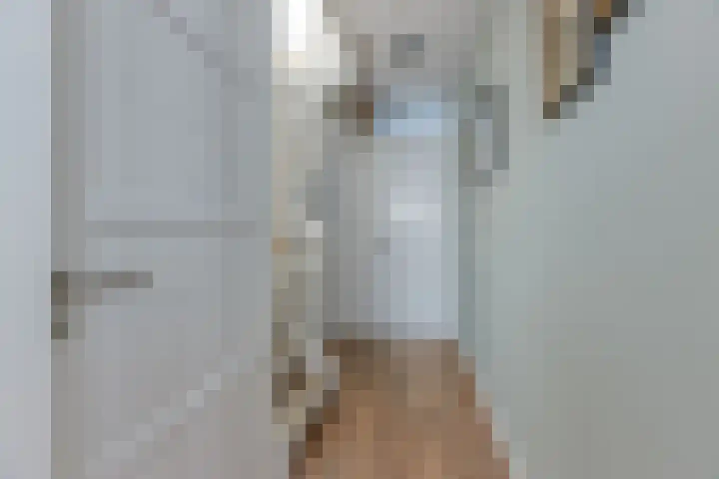 Christoffel Plantijnstraat 255 Den Haag thumbnail 19