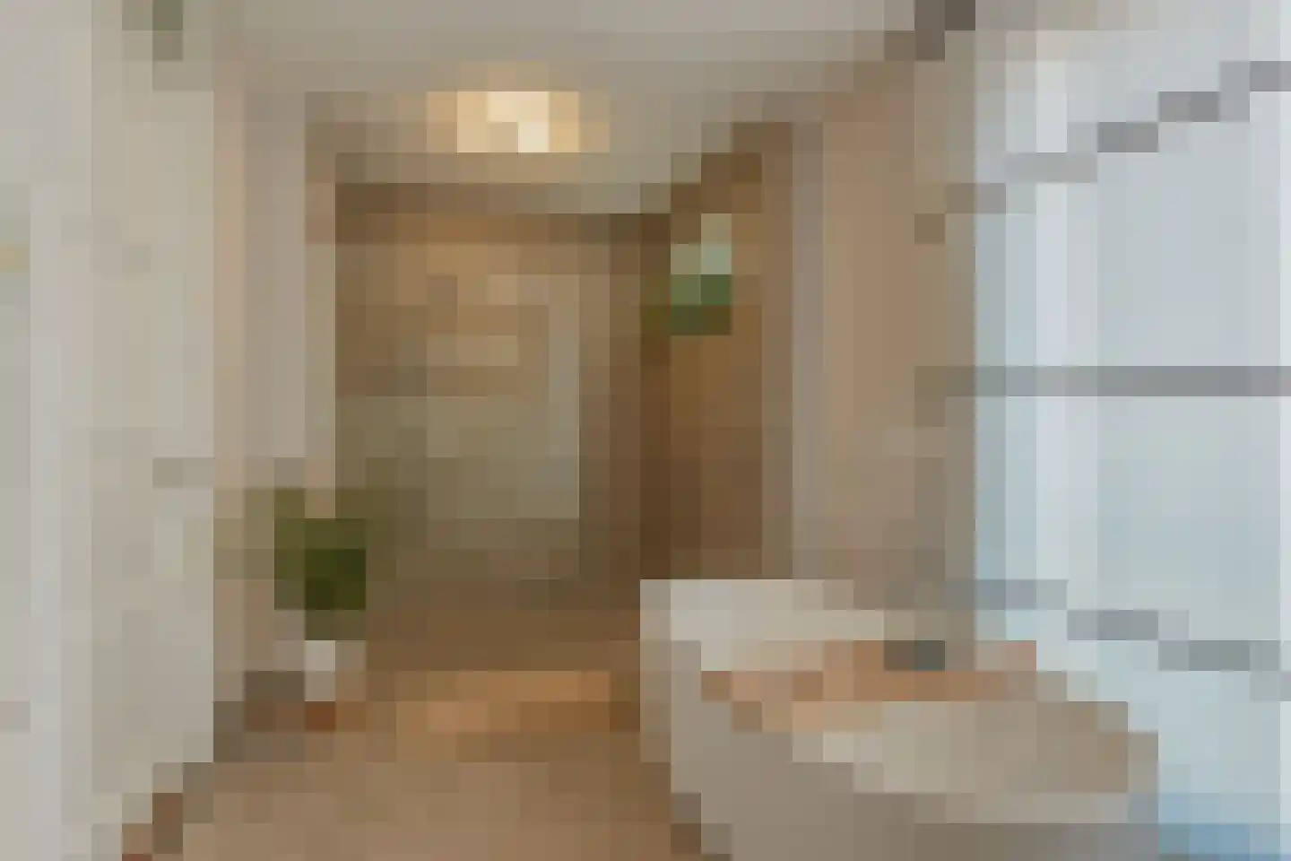 Christoffel Plantijnstraat 255 Den Haag thumbnail 21