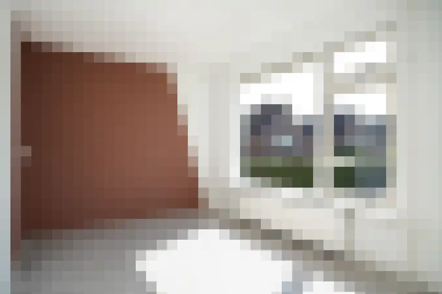 Christoffel Spieringhstraat 11 Kesteren thumbnail 16