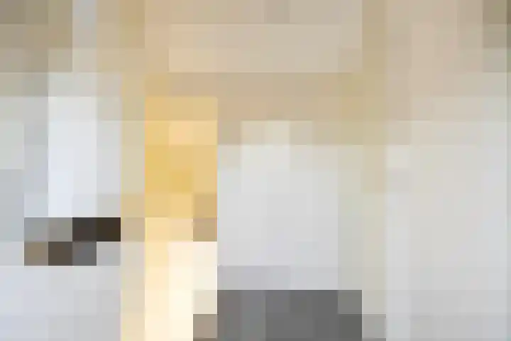 Christoffel Spieringhstraat 15 Kesteren thumbnail 21