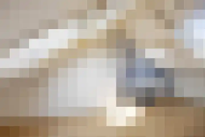 Christoffel Spieringhstraat 15 Kesteren thumbnail 23