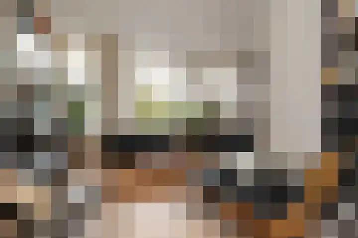 Christoffel van Swollstraat 5 Den Haag thumbnail 11