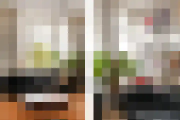 Christoffel van Swollstraat 5 Den Haag thumbnail 13