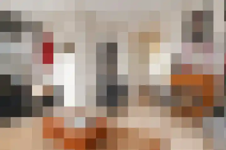 Christoffel van Swollstraat 5 Den Haag thumbnail 15