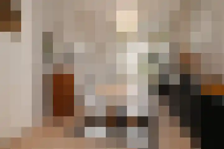 Christoffel van Swollstraat 5 Den Haag thumbnail 18