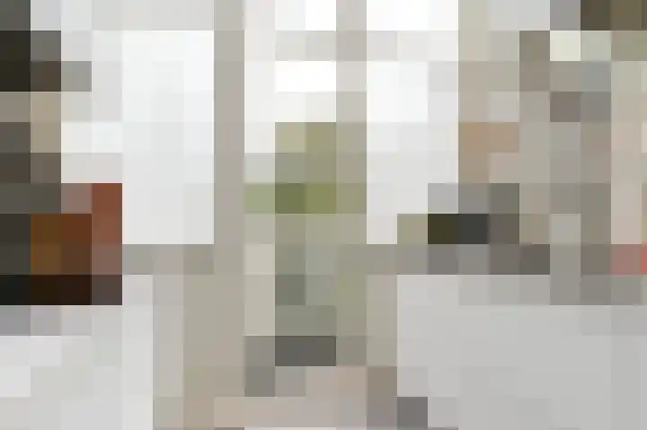 Christoffel van Swollstraat 5 Den Haag thumbnail 24