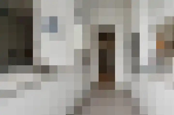 Christoffel van Swollstraat 5 Den Haag thumbnail 25