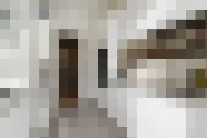 Christoffel van Swollstraat 5 Den Haag thumbnail 27
