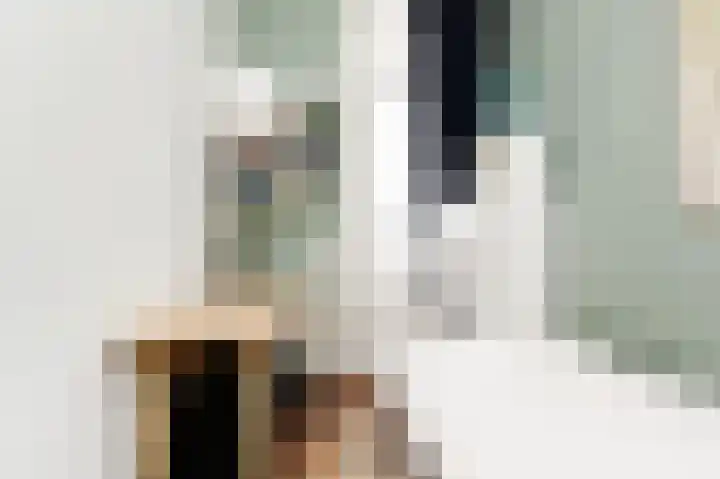 Christoffel van Swollstraat 5 Den Haag thumbnail 31