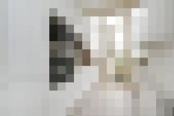 Christoffel van Swollstraat 5 Den Haag thumbnail 4