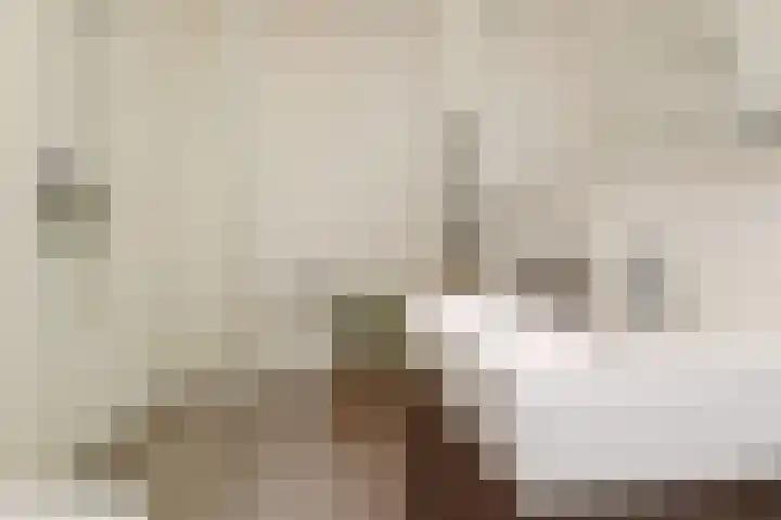 Christoffel van Swollstraat 5 Den Haag thumbnail 43