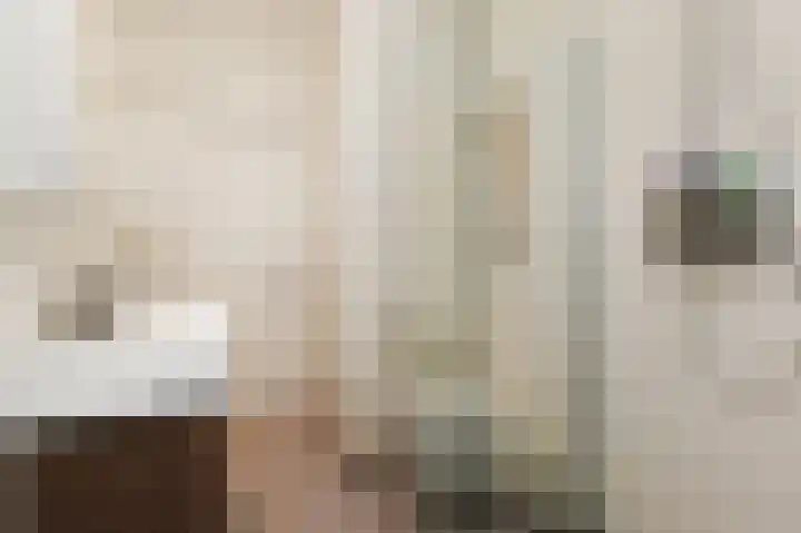 Christoffel van Swollstraat 5 Den Haag thumbnail 44