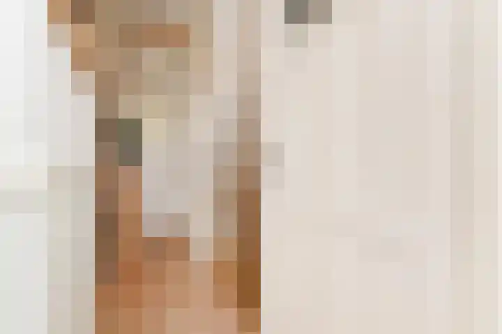 Christoffel van Swollstraat 5 Den Haag thumbnail 8