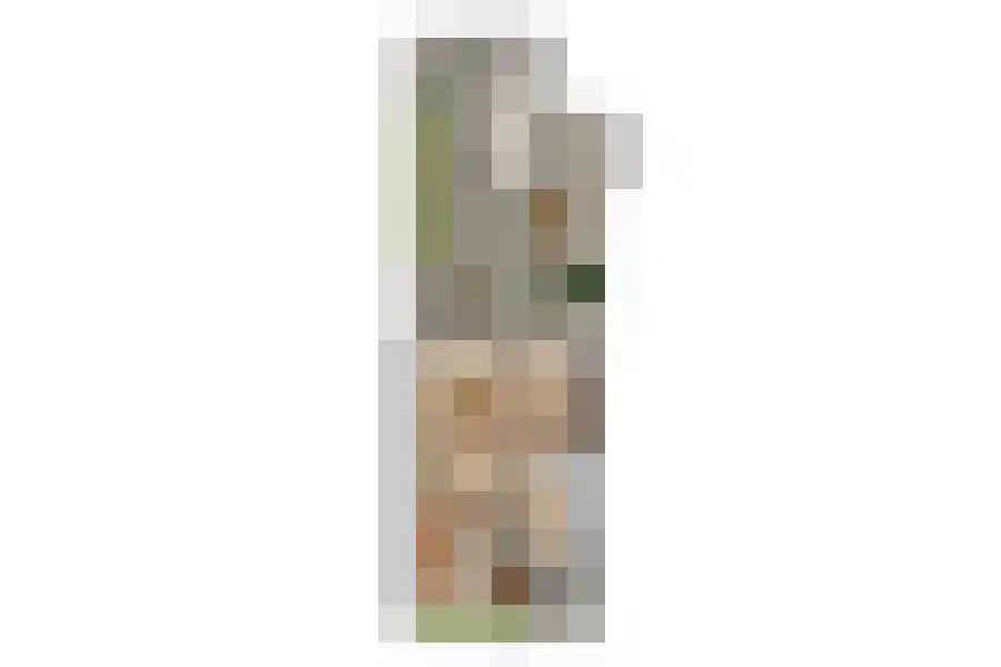 Christoffel Wüststraat 34 Rosmalen thumbnail 37