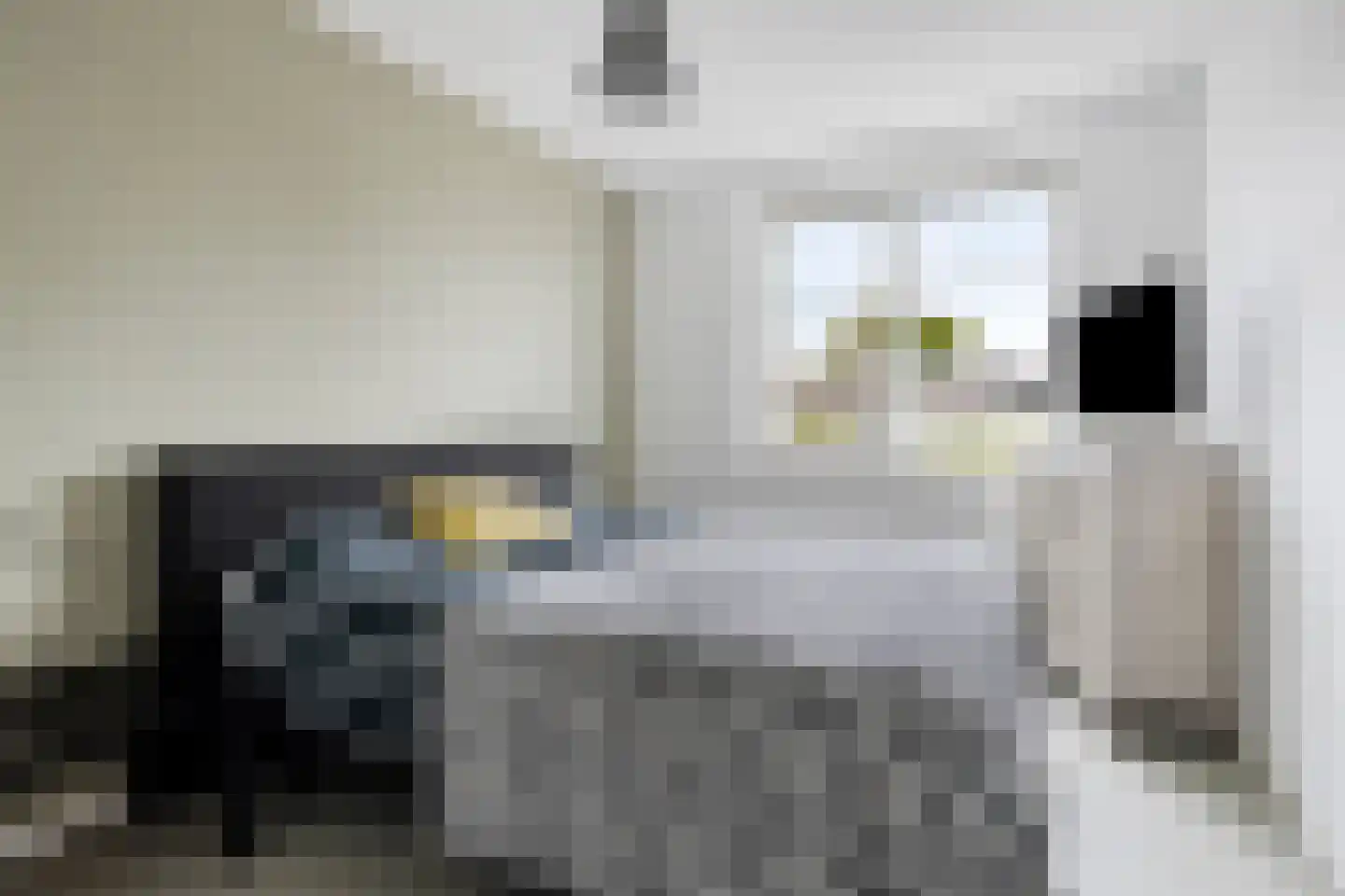 Christoffelhof 12 Almelo thumbnail 16